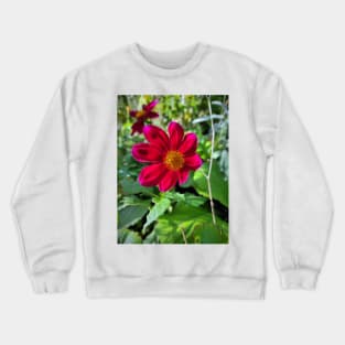 Red Blossom Crewneck Sweatshirt